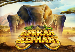 African Elephant Slot
