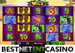 African Wild slot