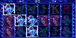 Beauty fairy video slot