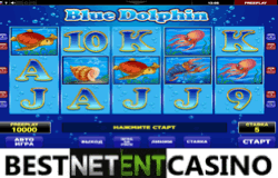 Blue Dolphin video slot