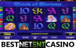 Book of Fortune video slot