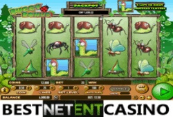 Buggy Bonus slot