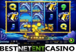 Dolphins slot