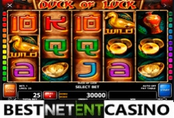 Duck of Luck slot