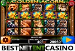 Golden Acorn slot