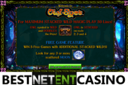 How to win at Owl Eyes video slot