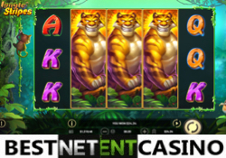 Jungle Stripes slot