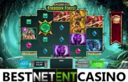 Kingdoms Rise Forbidden Forest slot