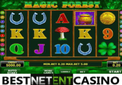 Magic forest video slot