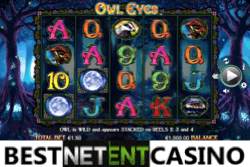 Owl eyes slot 