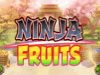 Ninja Fruits