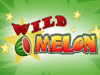 Wild Melon