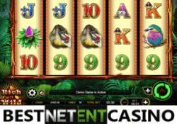 Rich N wild video slot