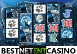 Siberian wolf video slot