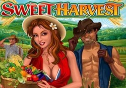 Sweet Harvest