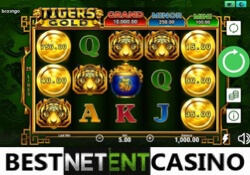 Tiger’s Gold Hold and Win slot