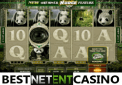 Untamed giant panda slot