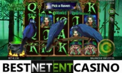 Witches Wild Brew slot