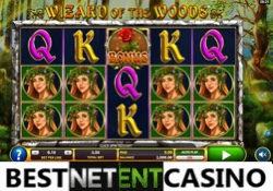 Wizard of The Woods slot