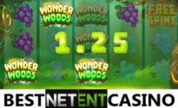 Wonder Woods slot